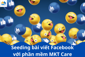 Seeding bài viết