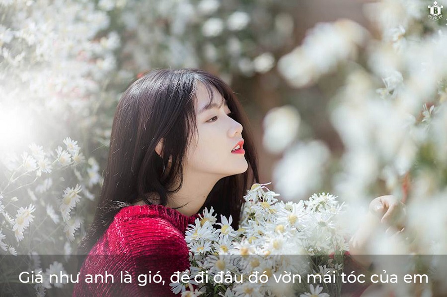 Cap hay cho ảnh đại diện ngắn Cap hay cho ảnh đại diện ngắn