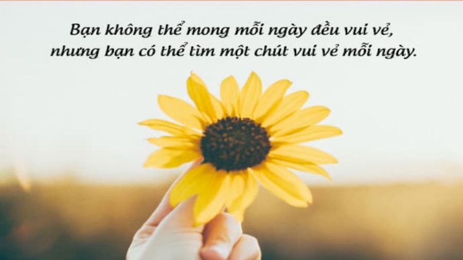 Caption hay về cuộc sống mới nhất 2024 mà bạn nên biết Caption hay về cuộc sống mới nhất 2024